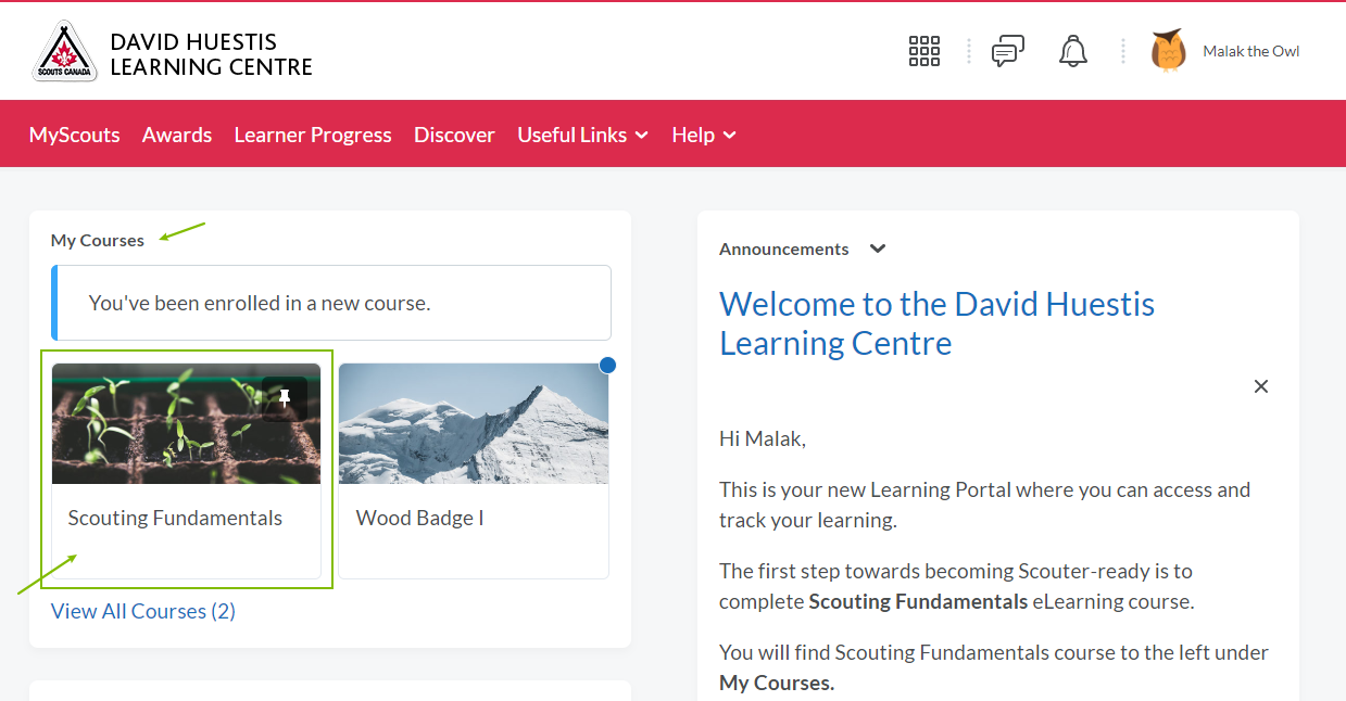 Scouting Fundamentals Homepage Access